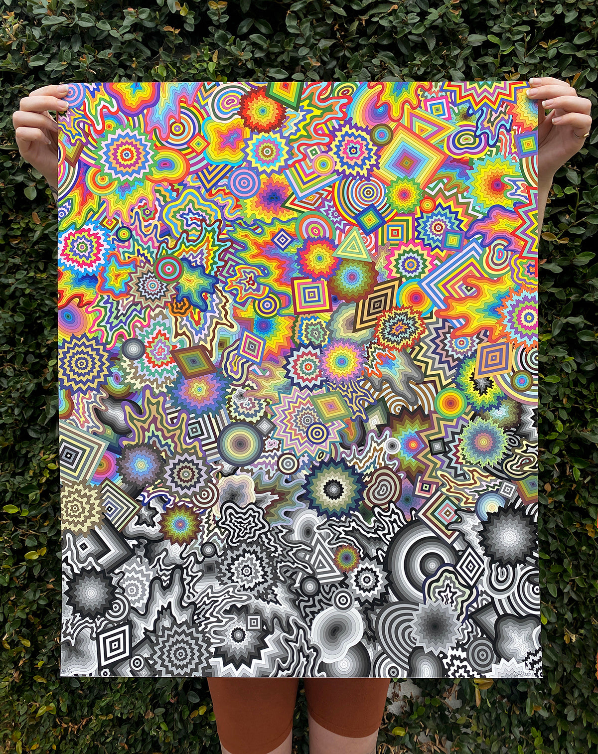 Metamorphosis Print